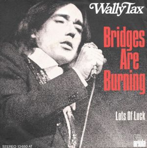 Bridges Are Burning (Single)