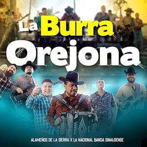 La burra orejona (Single)