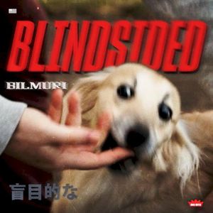 BLINDSIDED