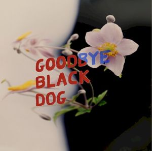 Goodbye Black Dog