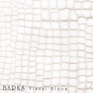 BARKS: Visual Bloom