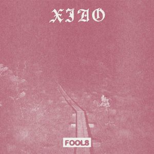 Fools (Single)