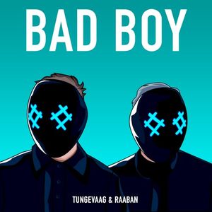 Bad Boy (Single)