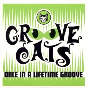 Once in a Lifetime Groove (Single)