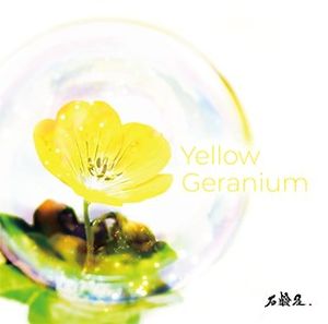 Yellow Geranium