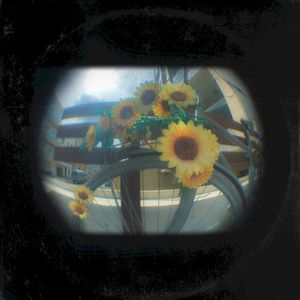 sunflower! (Single)