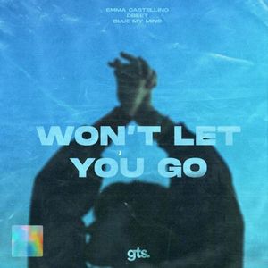 Won’t Let You Go (Single)
