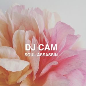 Soul Assassin (Single)