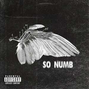 So Numb (Single)