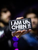 I Am Un Chien !!