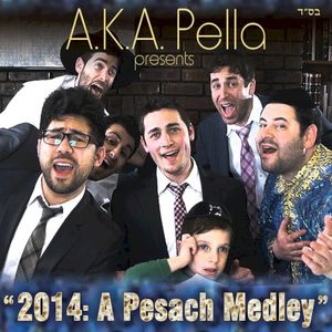 “2014: A Pesach Medley” (Single)