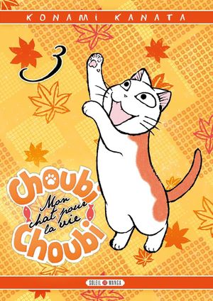 Choubi-Choubi, mon chat pour la vie, tome 3