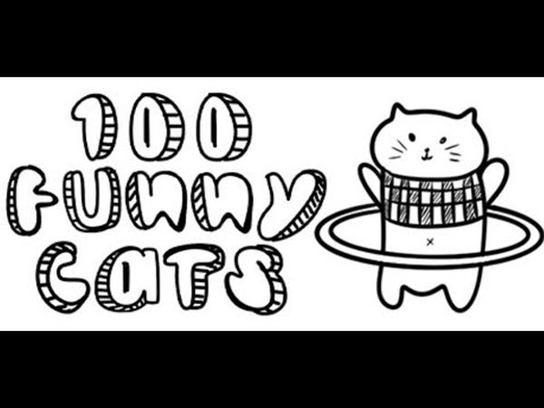 100 Funny Cats