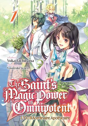 The Saint's Magic Power is Omnipotent