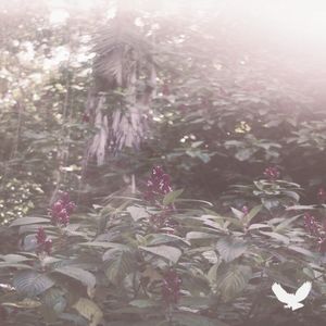 xandersrandomnessEP (Single)