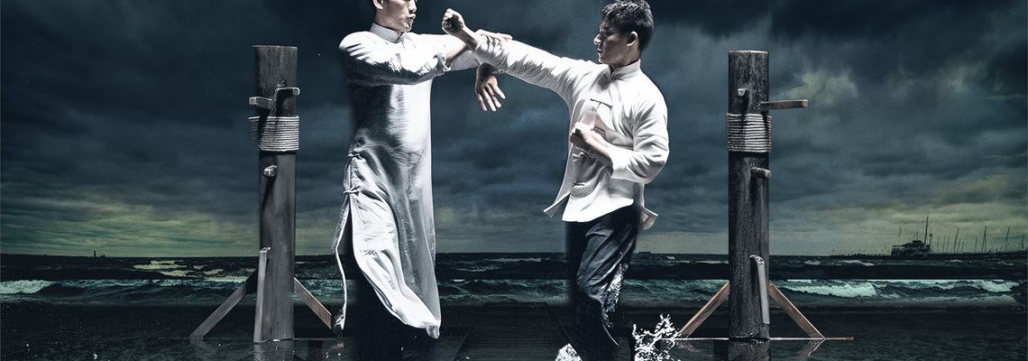 Cover Ip Man: Naissance d'un combattant