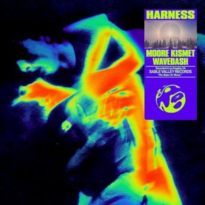 HARNESS (Single)