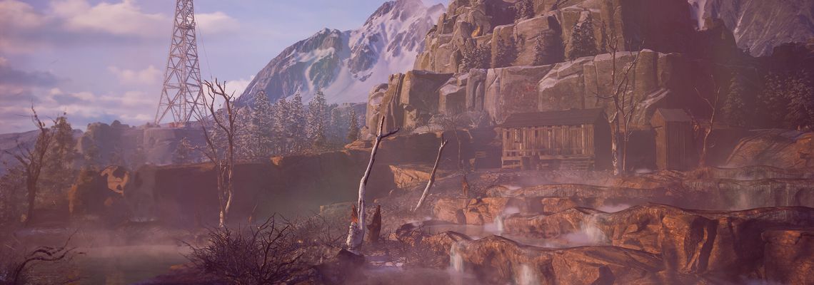 Cover Winter Survival