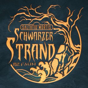 Schwarzer Strand (Single)
