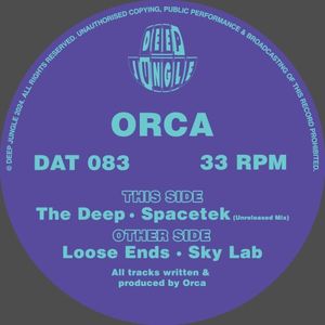Loose Ends / Sky Lab / The Deep / SpaceTek (unreleased mix) (EP)