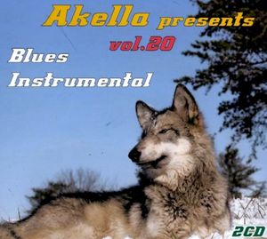 Akella Presents - Vol. 20: Blues Instrumental
