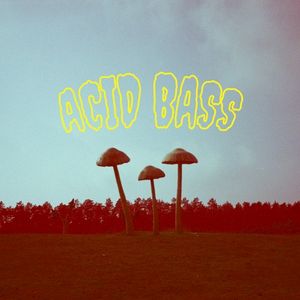 Acid Bass