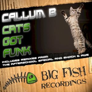 Cat’s Got Funk (Single)