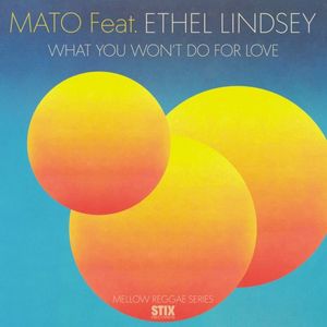 What You Won’t Do For Love (Single)