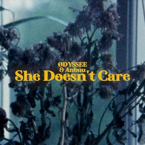 She Doesn’t Care (Single)