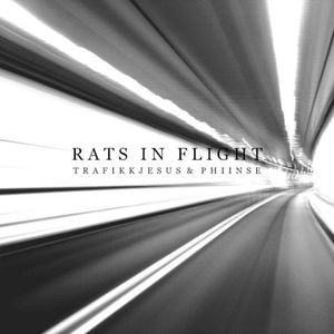 Rats In Flight (Single)