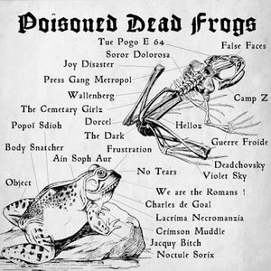 Poisoned Dead Frogs