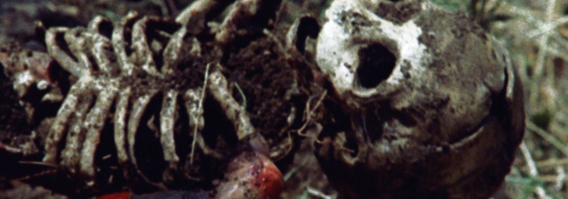 Cover La Longue Nuit de l'exorcisme