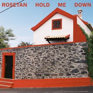 hold me down (Single)