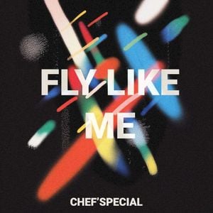 Fly Like Me (Single)