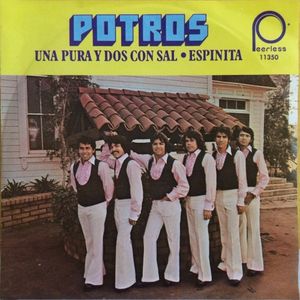 Una pura y dos con sal / Espinita (Single)