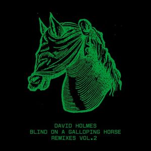 Blind on a Galloping Horse Remixes Vol. 2