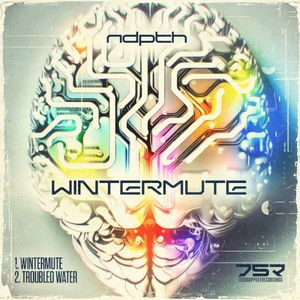 Wintermute EP (EP)