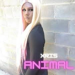 Animal (Single)