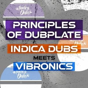 Dub Stream (Deluxe Version)