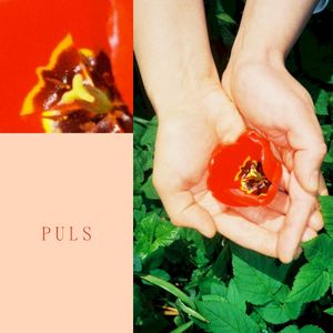 Puls (Single)