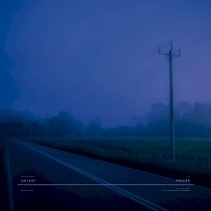 voices (Single)