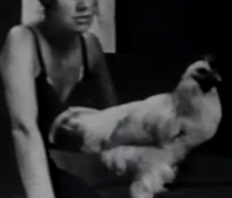 image-https://media.senscritique.com/media/000022055079/0/summer_70.png