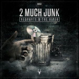 2 Much Junk (Single)