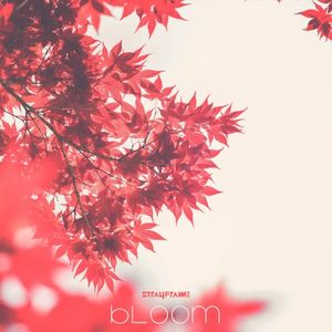 Bloom (Single)