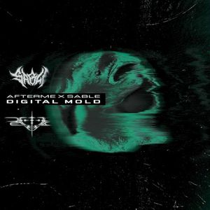 Digital Mold (Single)