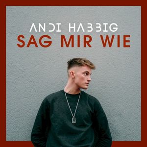 Sag mir wie (Single)