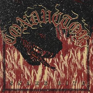 Snake Bite (Single)