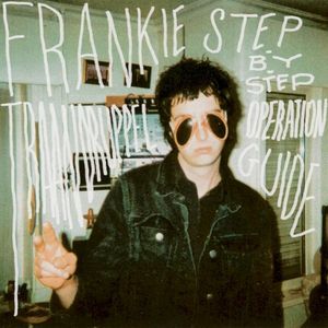 Step‐By‐Step Operation Guide: 5 Years of Frankie