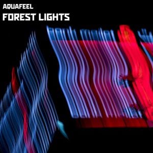 Forest Lights (Single)