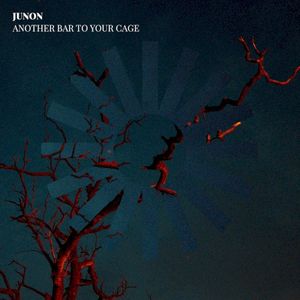 Another Bar To Your Cage (Single)